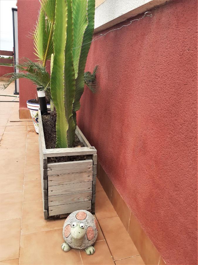 Casa Ohana Solarium, Jacuzzi,Piscine,Tout Confort Orihuela Zewnętrze zdjęcie